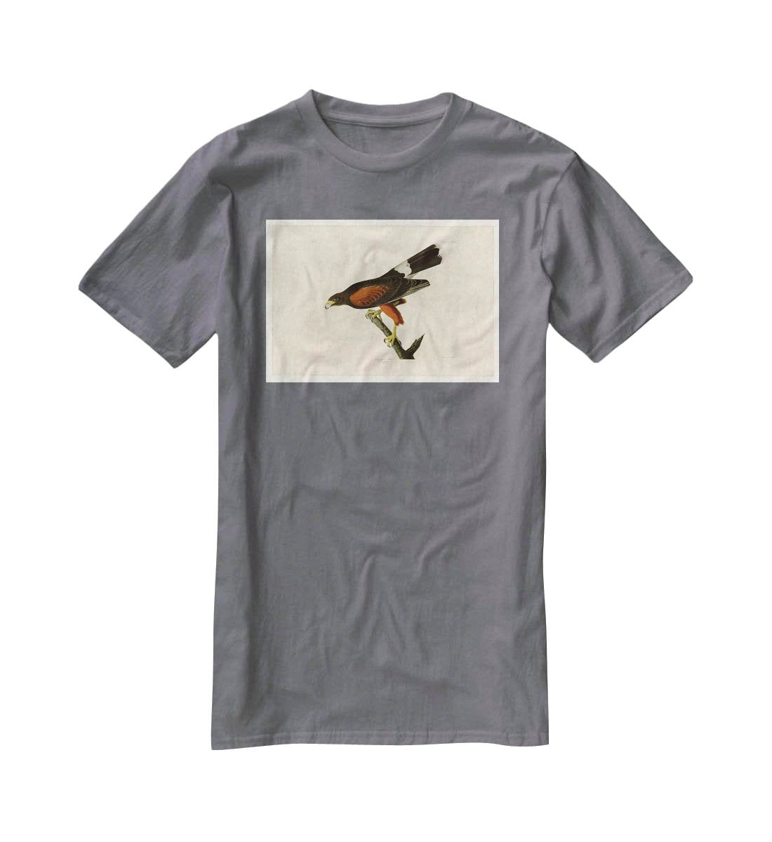 Louisiana Hawk by Audubon T-Shirt - Canvas Art Rocks - 3