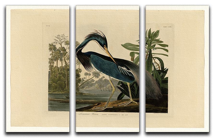 Louisiana Heron by Audubon 3 Split Panel Canvas Print - Canvas Art Rocks - 1