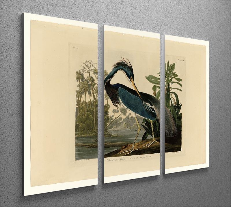Louisiana Heron by Audubon 3 Split Panel Canvas Print - Canvas Art Rocks - 2