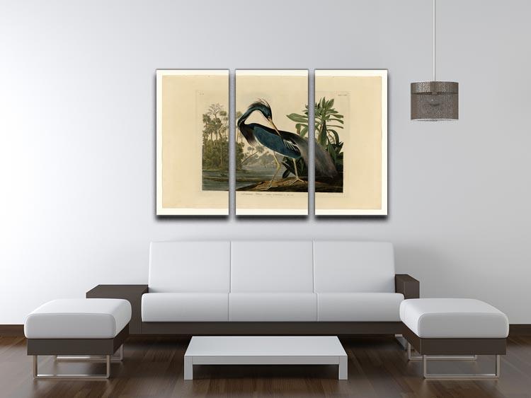 Louisiana Heron by Audubon 3 Split Panel Canvas Print - Canvas Art Rocks - 3