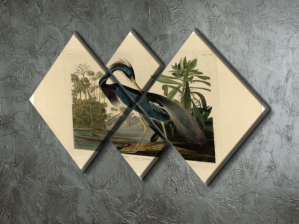Louisiana Heron by Audubon 4 Square Multi Panel Canvas - Canvas Art Rocks - 2