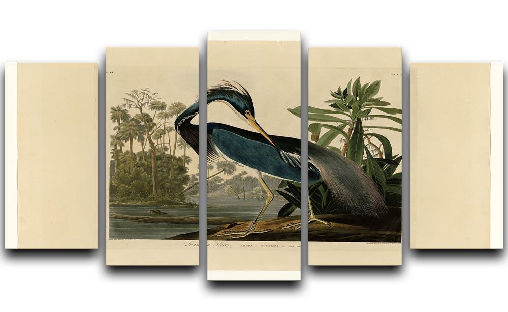Louisiana Heron by Audubon 5 Split Panel Canvas - Canvas Art Rocks - 1