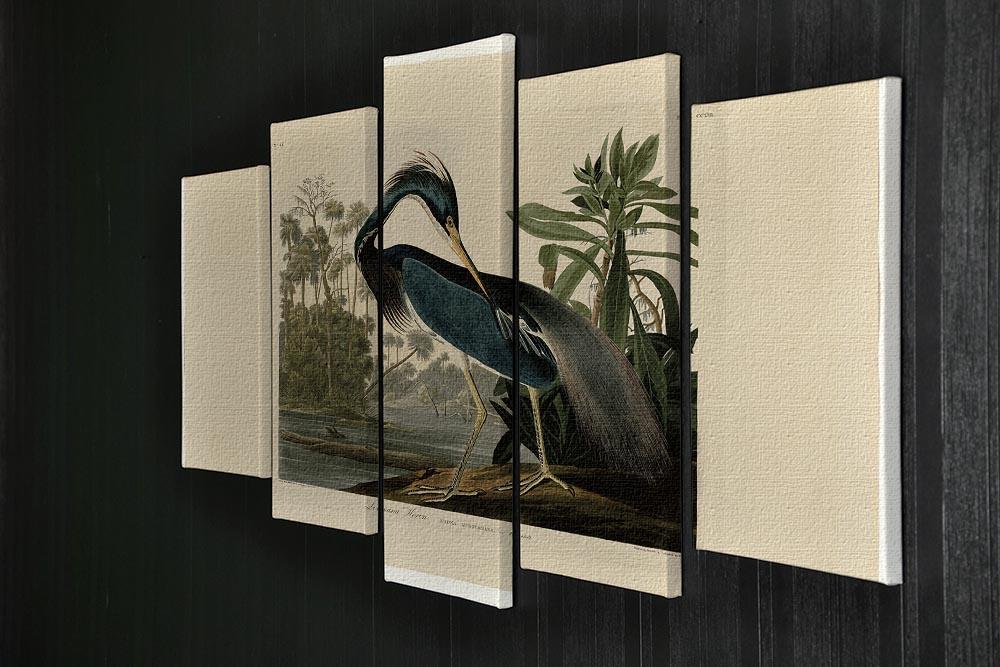 Louisiana Heron by Audubon 5 Split Panel Canvas - Canvas Art Rocks - 2