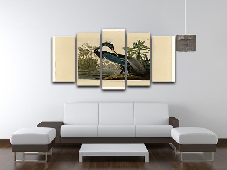 Louisiana Heron by Audubon 5 Split Panel Canvas - Canvas Art Rocks - 3