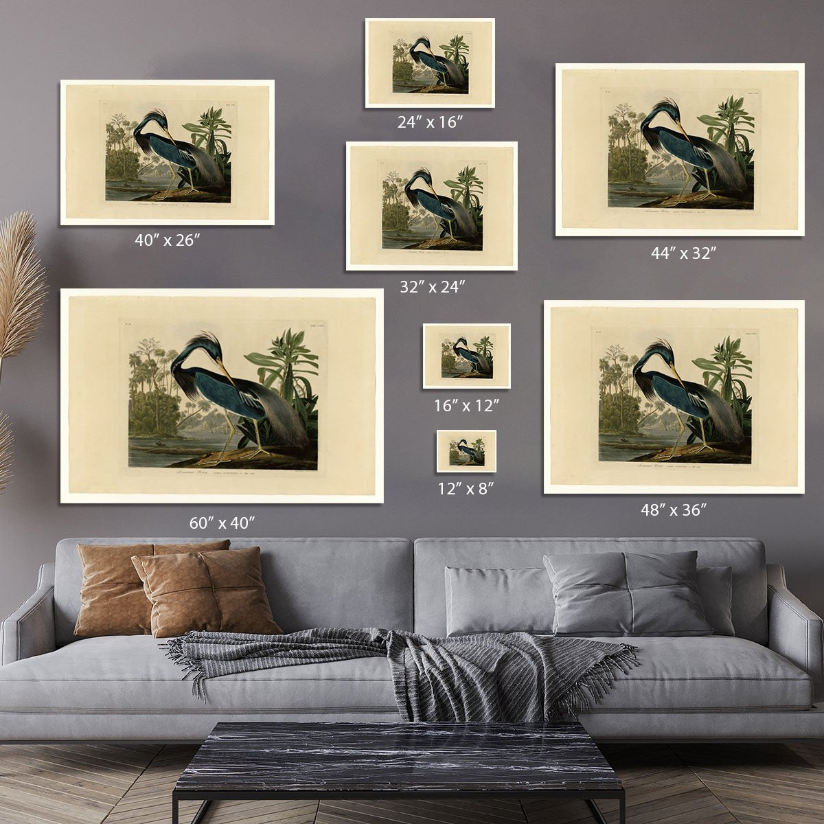 Louisiana Heron by Audubon Canvas Print or Poster