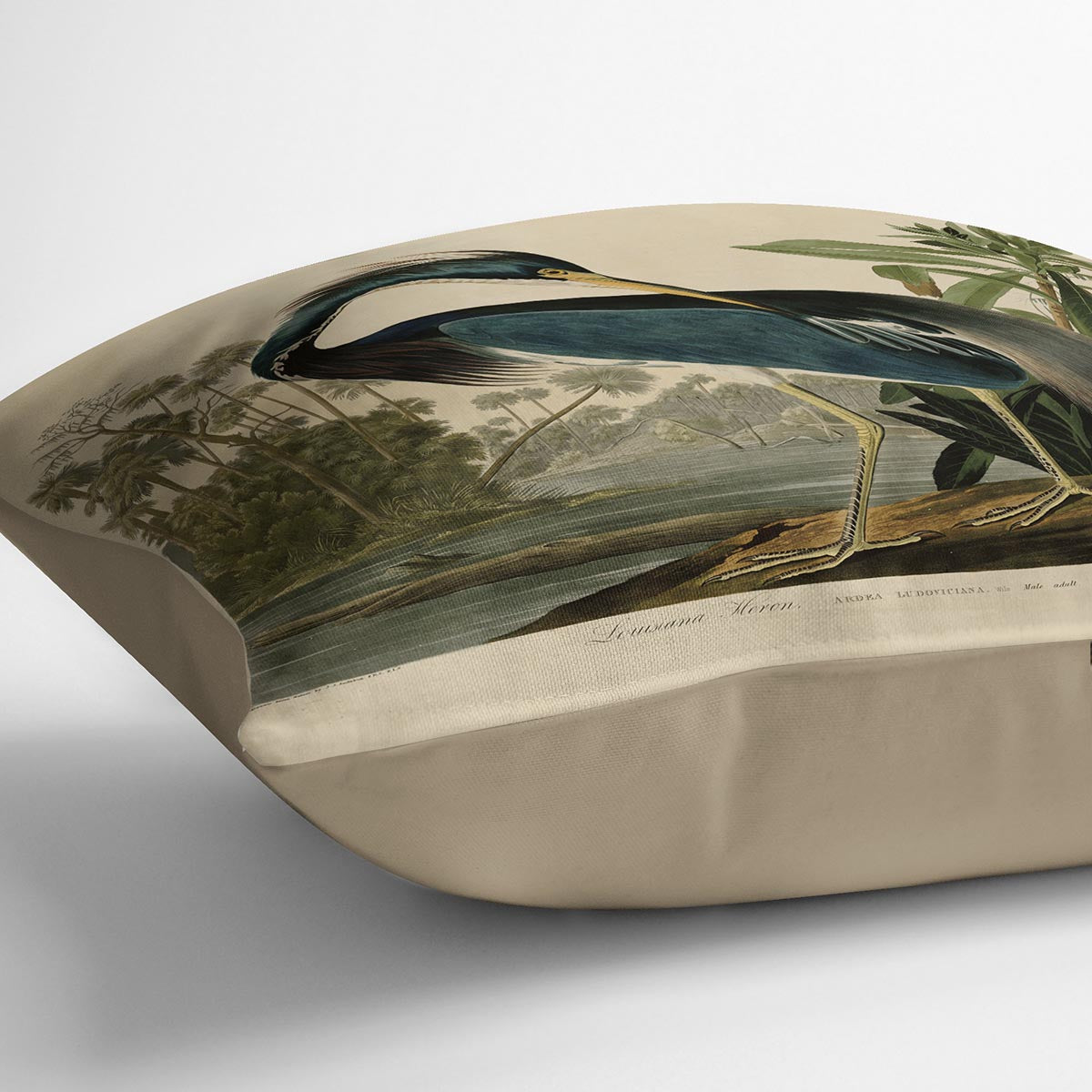 Louisiana Heron by Audubon Cushion
