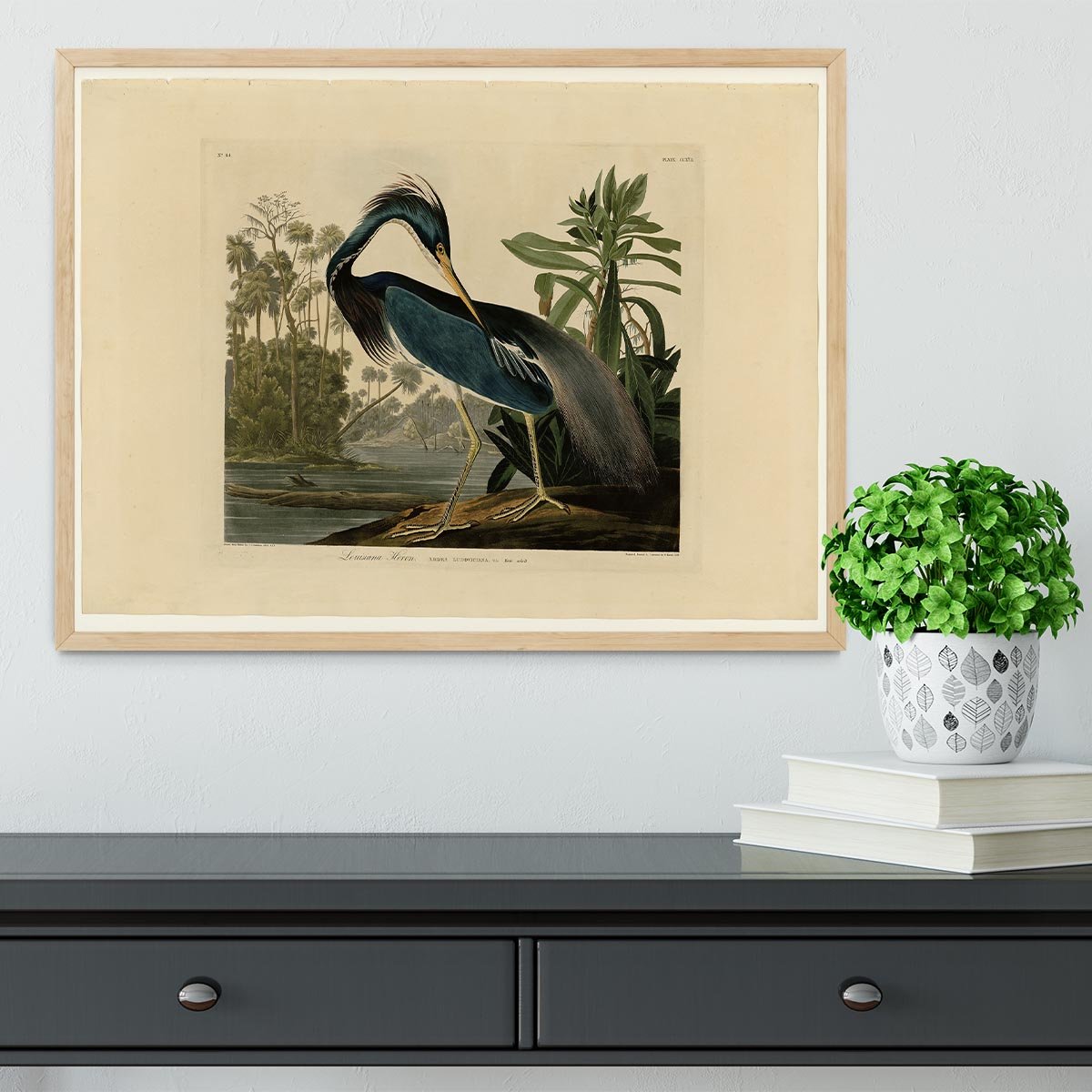 Louisiana Heron by Audubon Framed Print - Canvas Art Rocks - 4