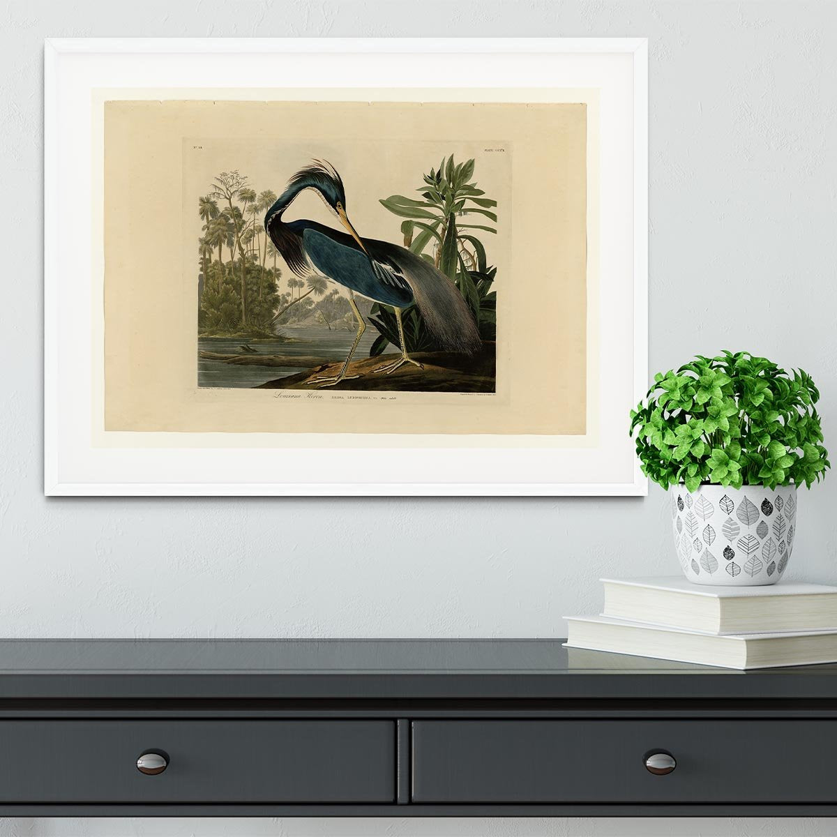 Louisiana Heron by Audubon Framed Print - Canvas Art Rocks - 5