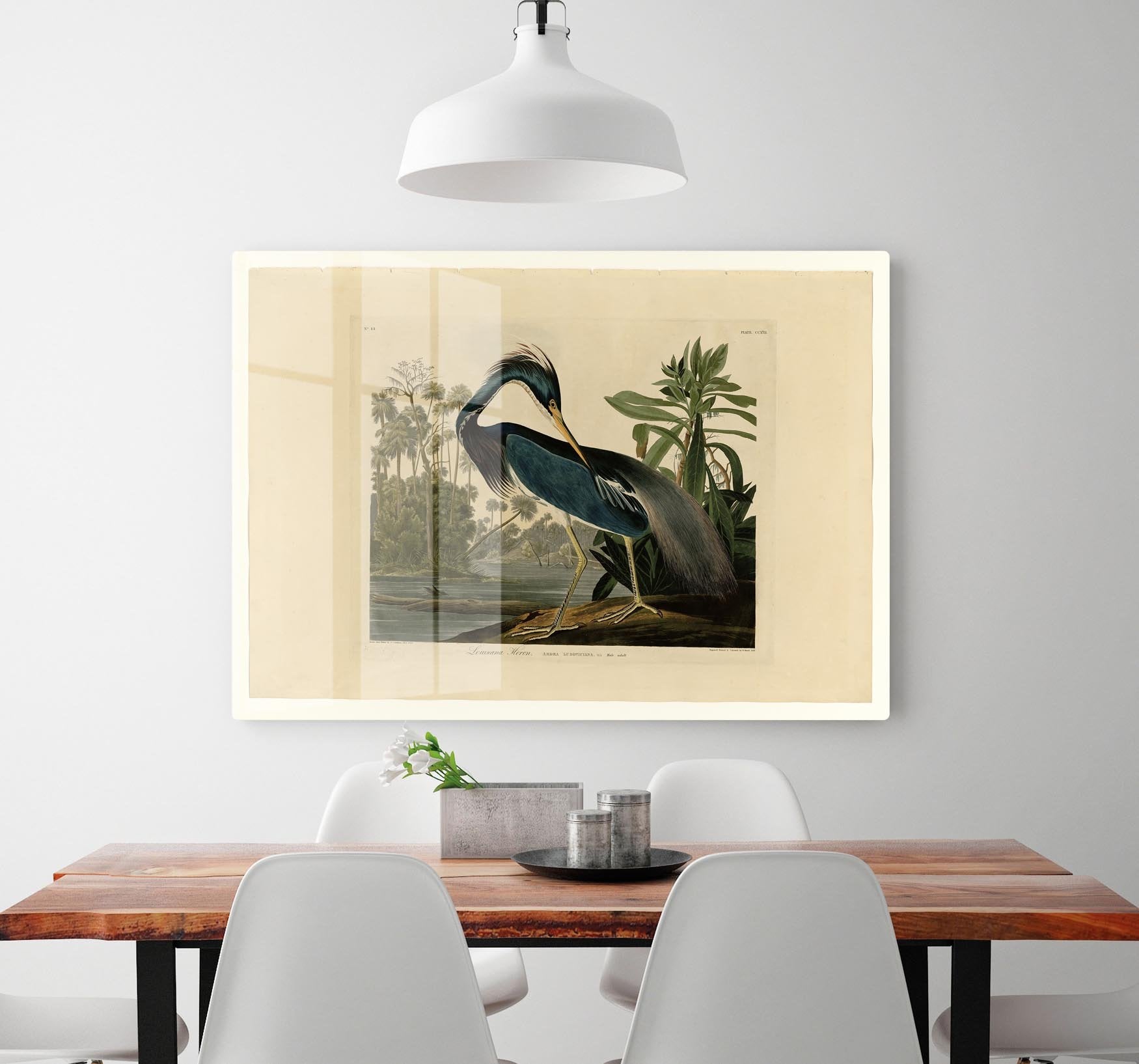 Louisiana Heron by Audubon HD Metal Print - Canvas Art Rocks - 2