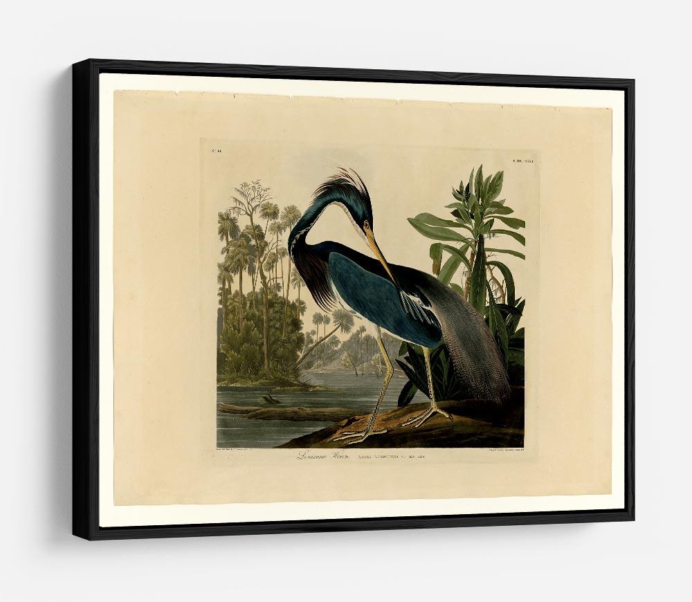 Louisiana Heron by Audubon HD Metal Print - Canvas Art Rocks - 6