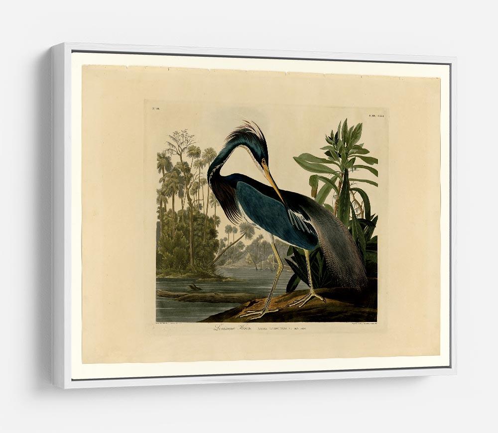 Louisiana Heron by Audubon HD Metal Print - Canvas Art Rocks - 7