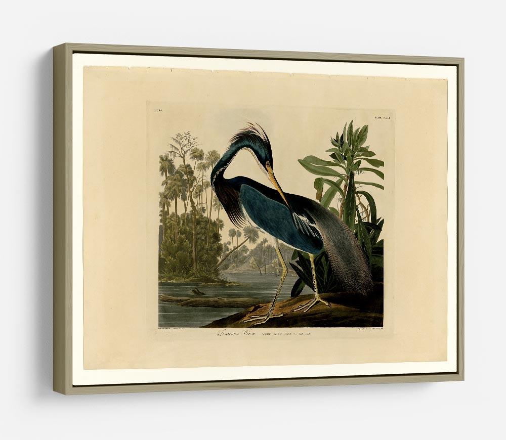Louisiana Heron by Audubon HD Metal Print - Canvas Art Rocks - 8