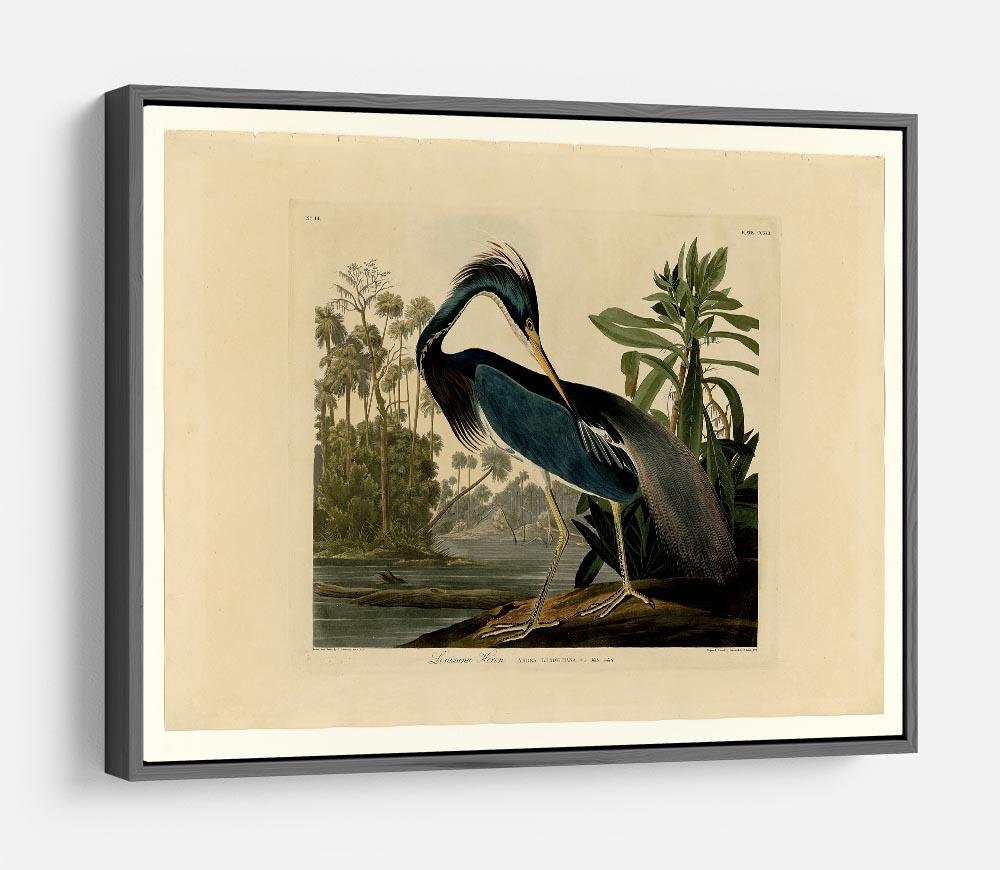 Louisiana Heron by Audubon HD Metal Print - Canvas Art Rocks - 9