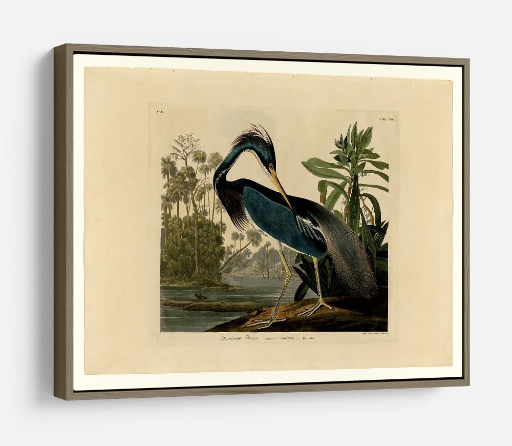 Louisiana Heron by Audubon HD Metal Print - Canvas Art Rocks - 10