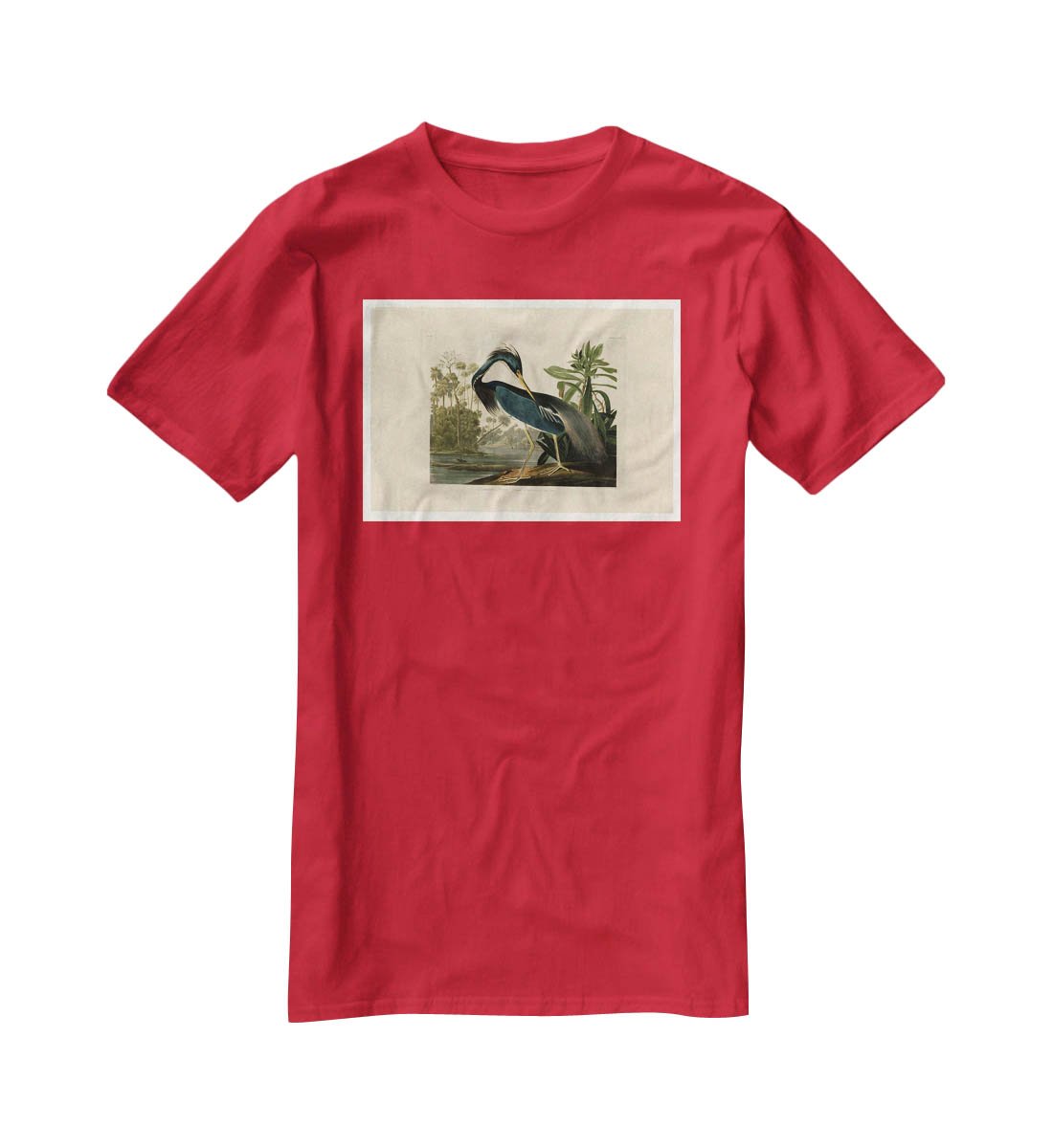Louisiana Heron by Audubon T-Shirt - Canvas Art Rocks - 4