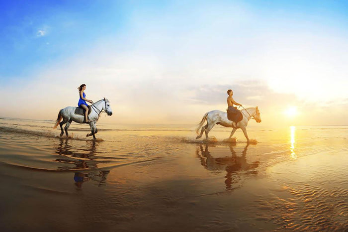 Love background Family and horse in the sunshine Wall Mural Wallpaper