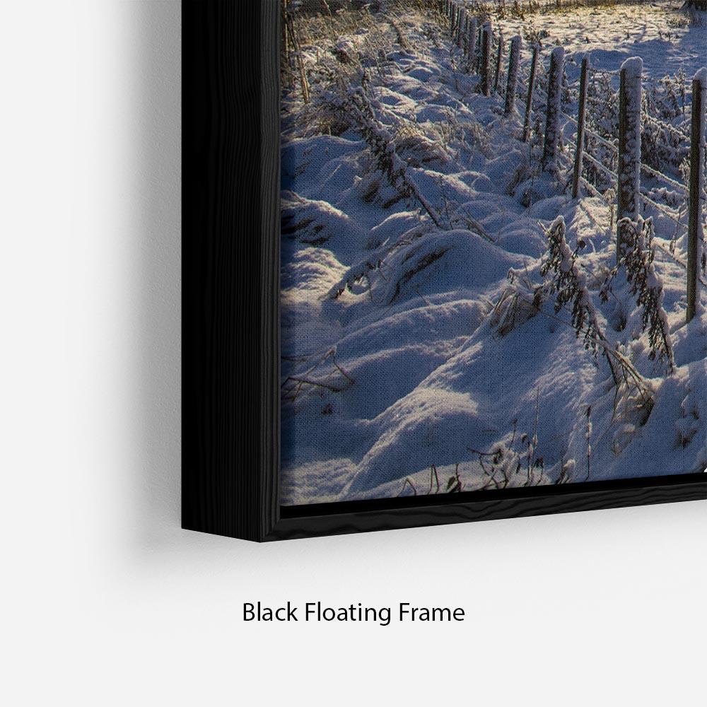 Low light on a winters day Floating Frame Canvas - Canvas Art Rocks - 2