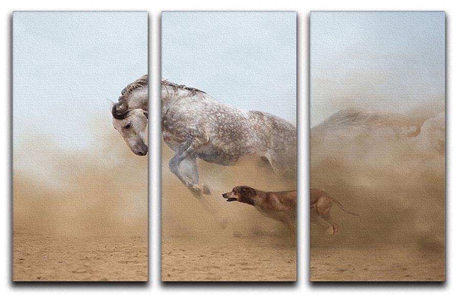 Lusitanian horse is playing with the Rhodesian Ridgeback dog 3 Split Panel Canvas Print - Canvas Art Rocks - 1