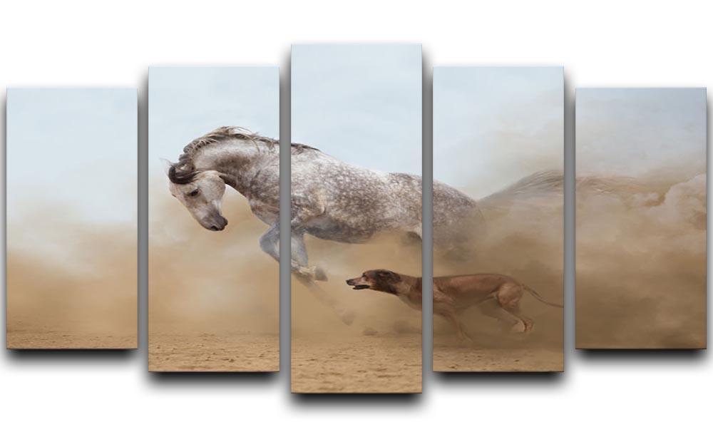 Lusitanian horse is playing with the Rhodesian Ridgeback dog 5 Split Panel Canvas - Canvas Art Rocks - 1