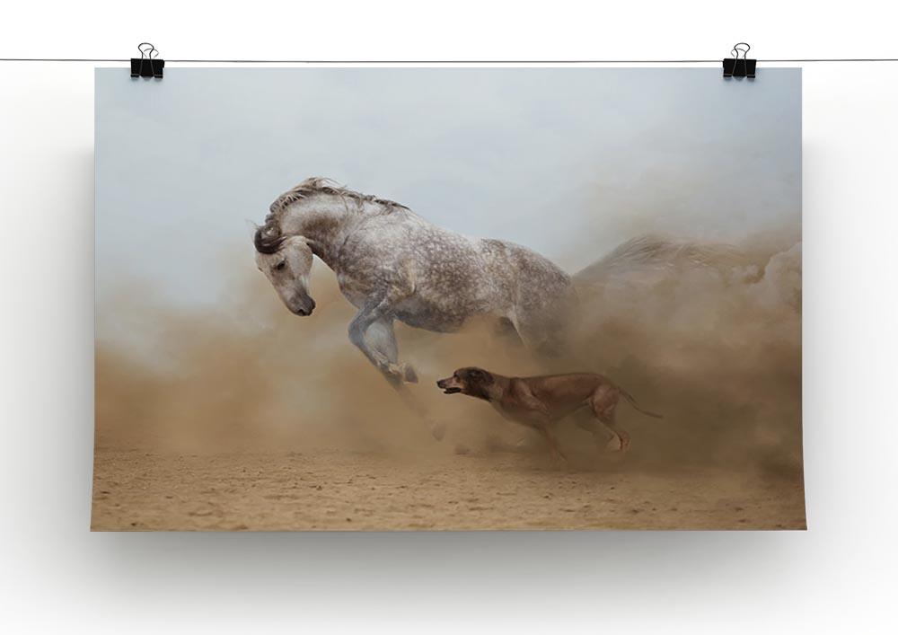 Lusitanian horse is playing with the Rhodesian Ridgeback dog Canvas Print or Poster - Canvas Art Rocks - 2