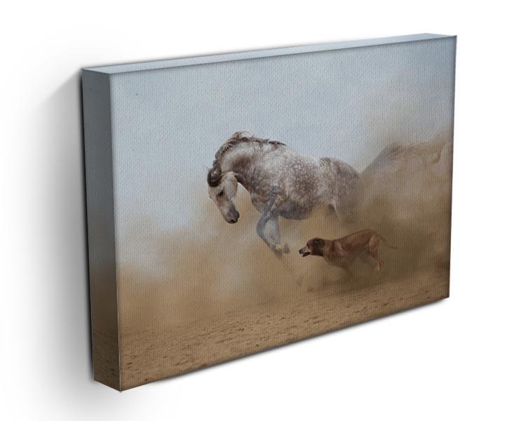 Lusitanian horse is playing with the Rhodesian Ridgeback dog Canvas Print or Poster - Canvas Art Rocks - 3