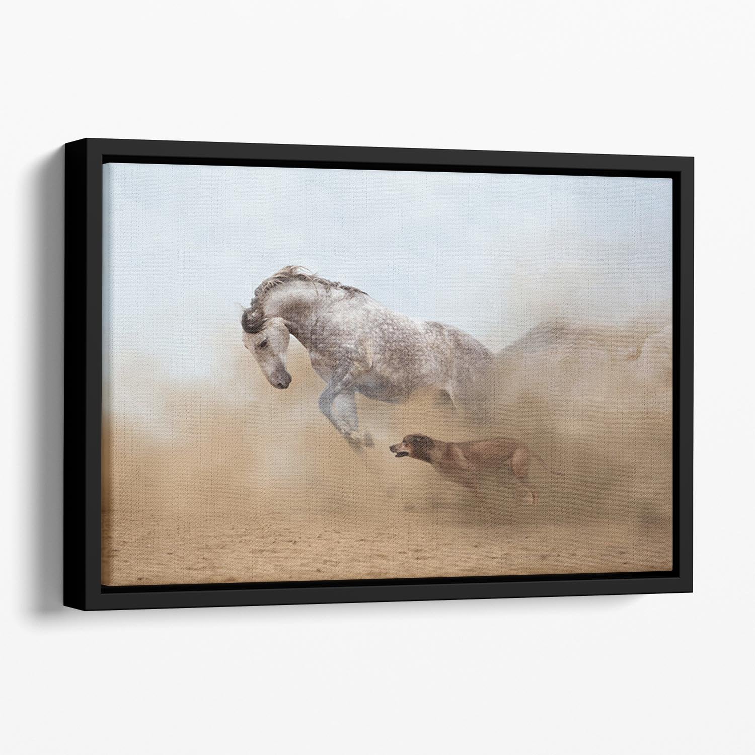 Lusitanian horse is playing with the Rhodesian Ridgeback dog Floating Framed Canvas - Canvas Art Rocks - 1