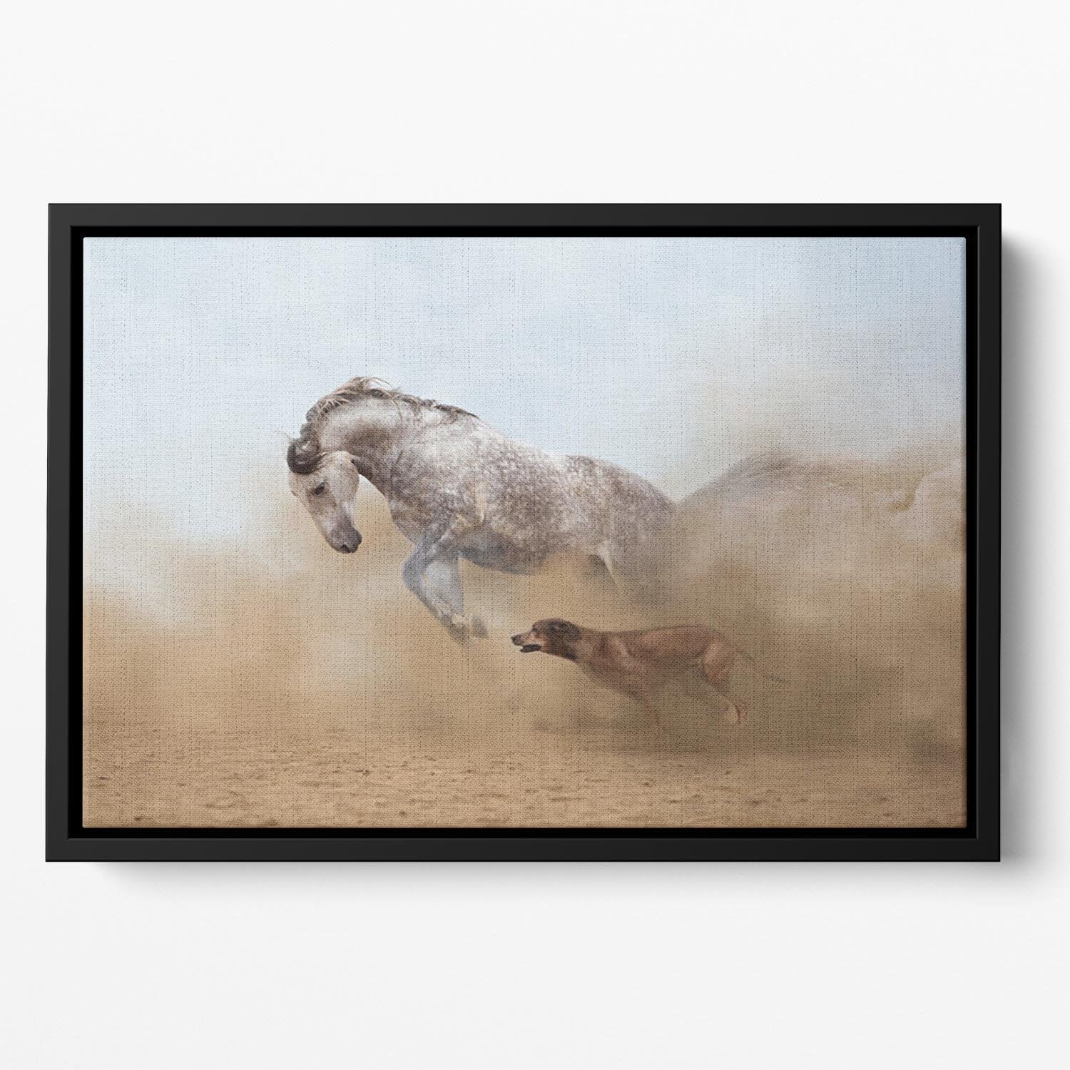 Lusitanian horse is playing with the Rhodesian Ridgeback dog Floating Framed Canvas - Canvas Art Rocks - 2