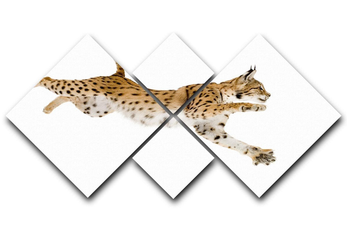 Lynx in front of a white background 4 Square Multi Panel Canvas - Canvas Art Rocks - 1