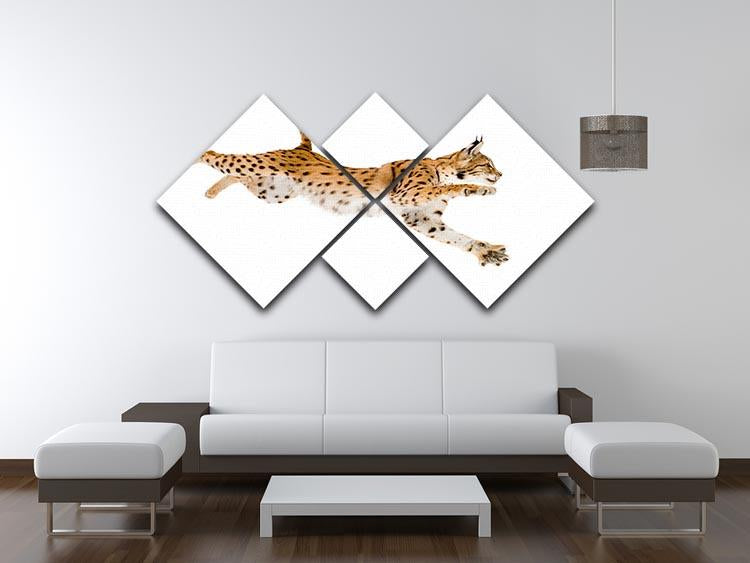 Lynx in front of a white background 4 Square Multi Panel Canvas - Canvas Art Rocks - 3