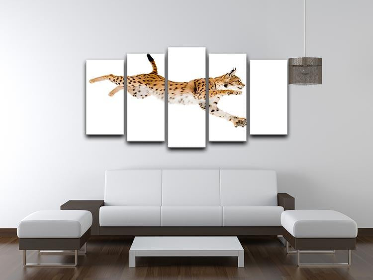 Lynx in front of a white background 5 Split Panel Canvas - Canvas Art Rocks - 3
