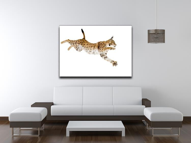 Lynx in front of a white background Canvas Print or Poster - Canvas Art Rocks - 4