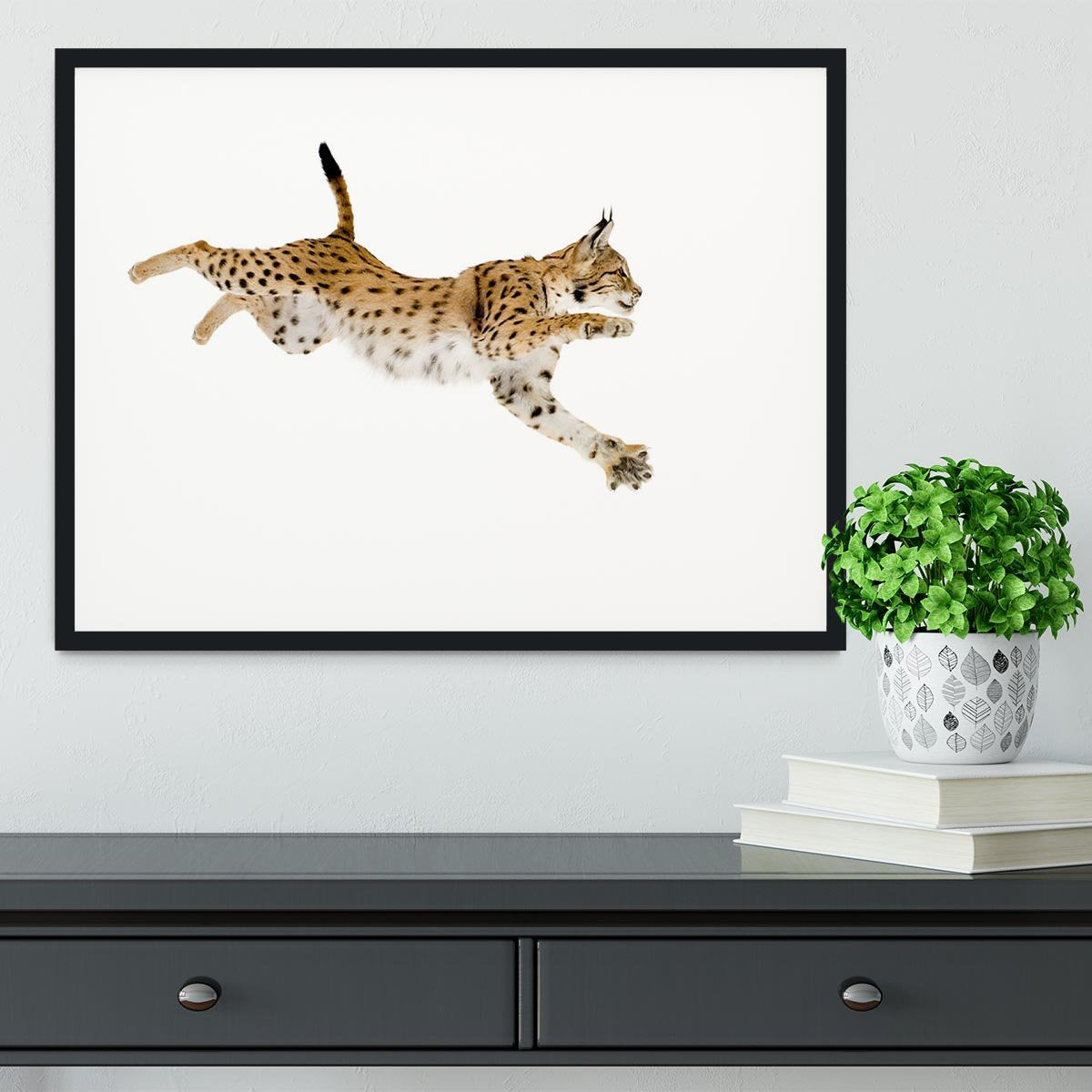 Lynx in front of a white background Framed Print - Canvas Art Rocks - 1