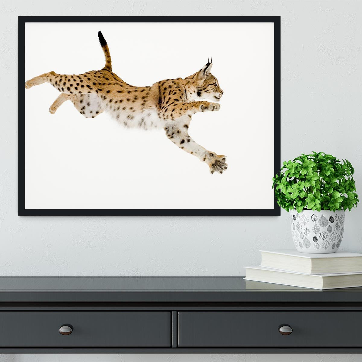 Lynx in front of a white background Framed Print - Canvas Art Rocks - 2
