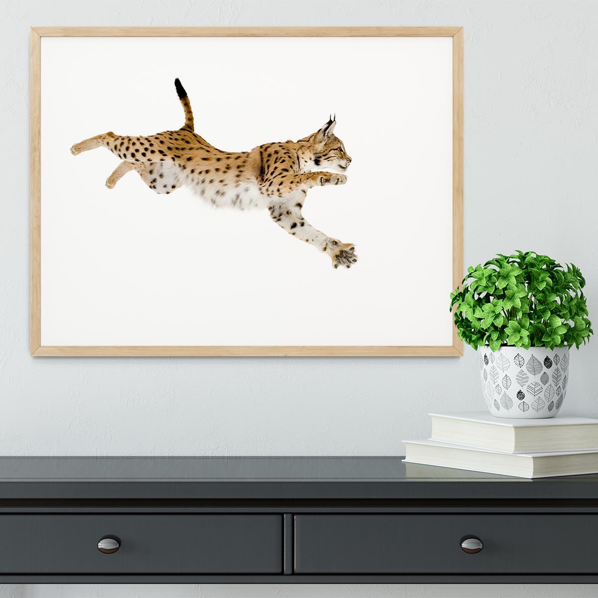 Lynx in front of a white background Framed Print - Canvas Art Rocks - 3