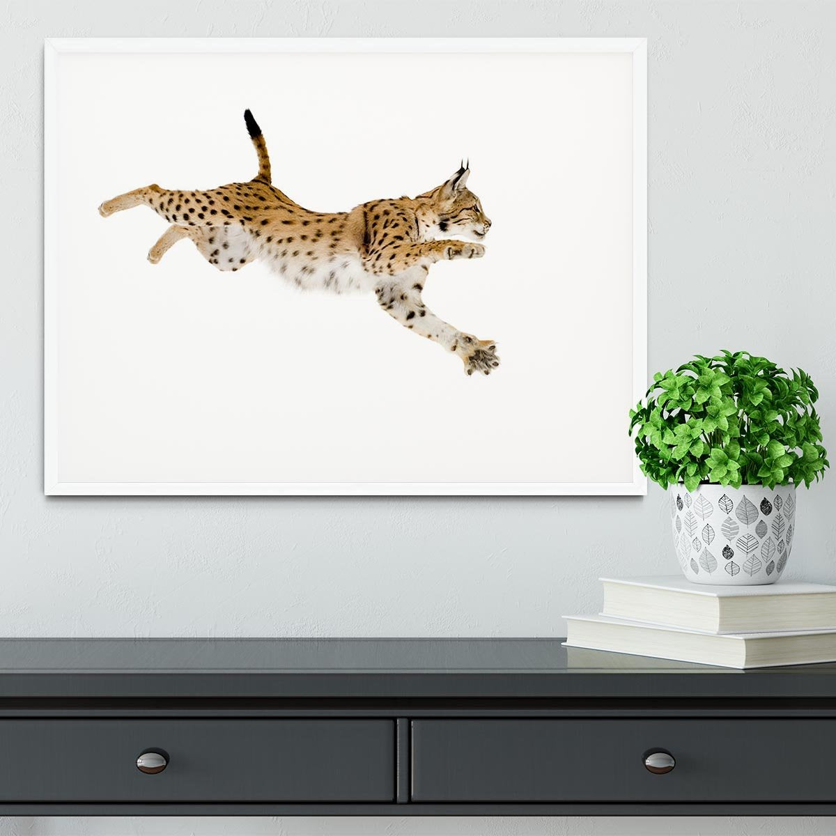 Lynx in front of a white background Framed Print - Canvas Art Rocks - 5
