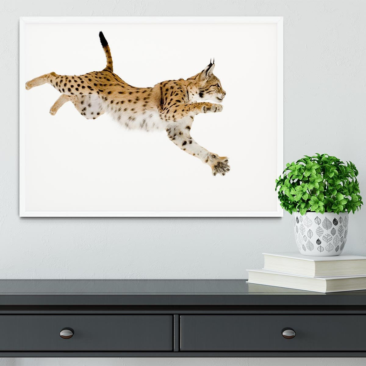 Lynx in front of a white background Framed Print - Canvas Art Rocks -6