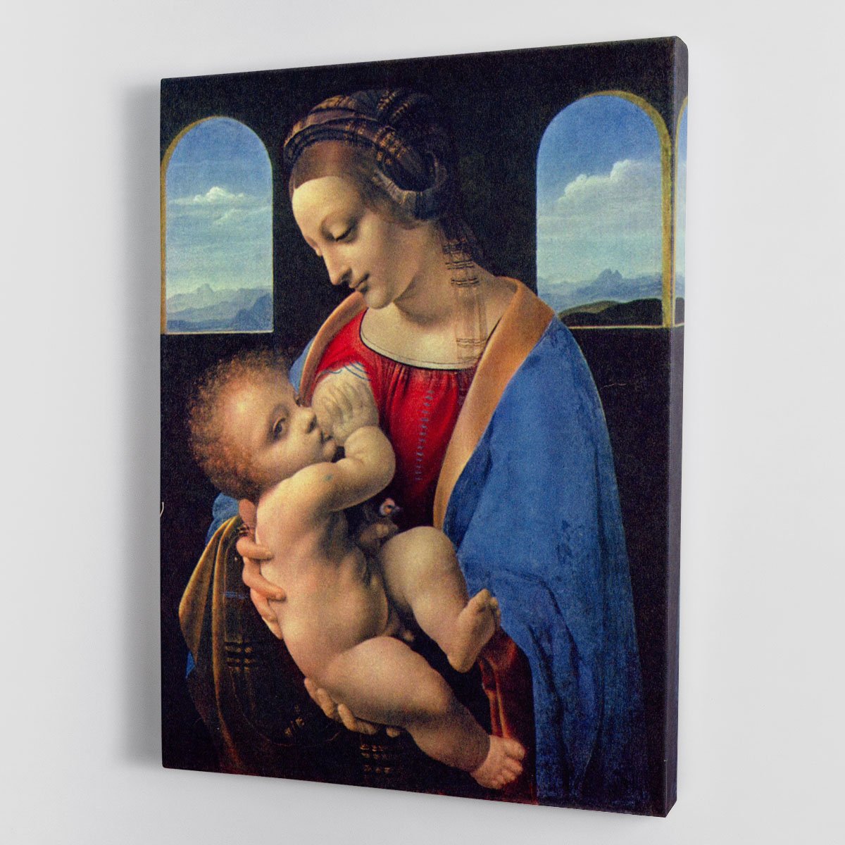Madonna by Da Vinci Canvas Print or Poster