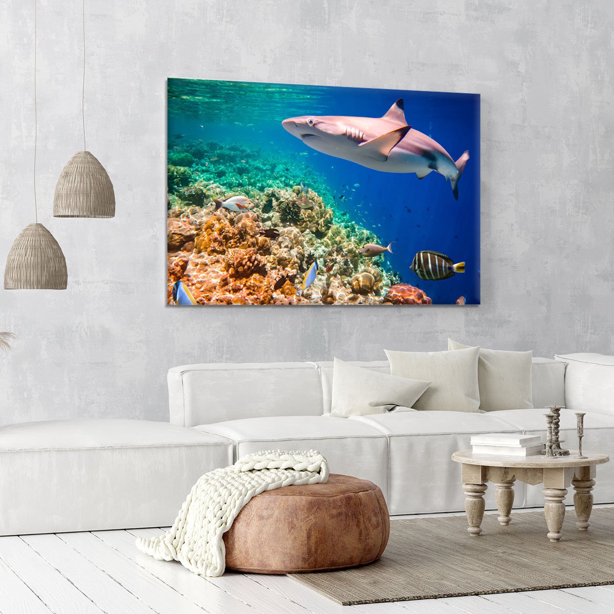 Maldives Indian Ocean coral reef Canvas Print or Poster
