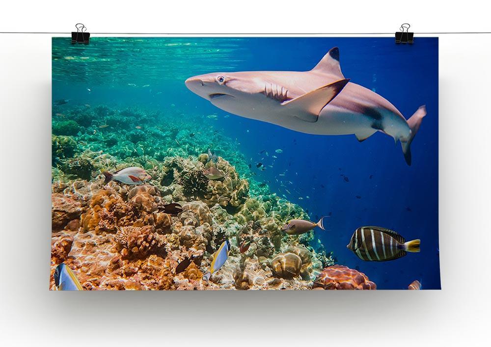 Maldives Indian Ocean coral reef Canvas Print or Poster - Canvas Art Rocks - 2