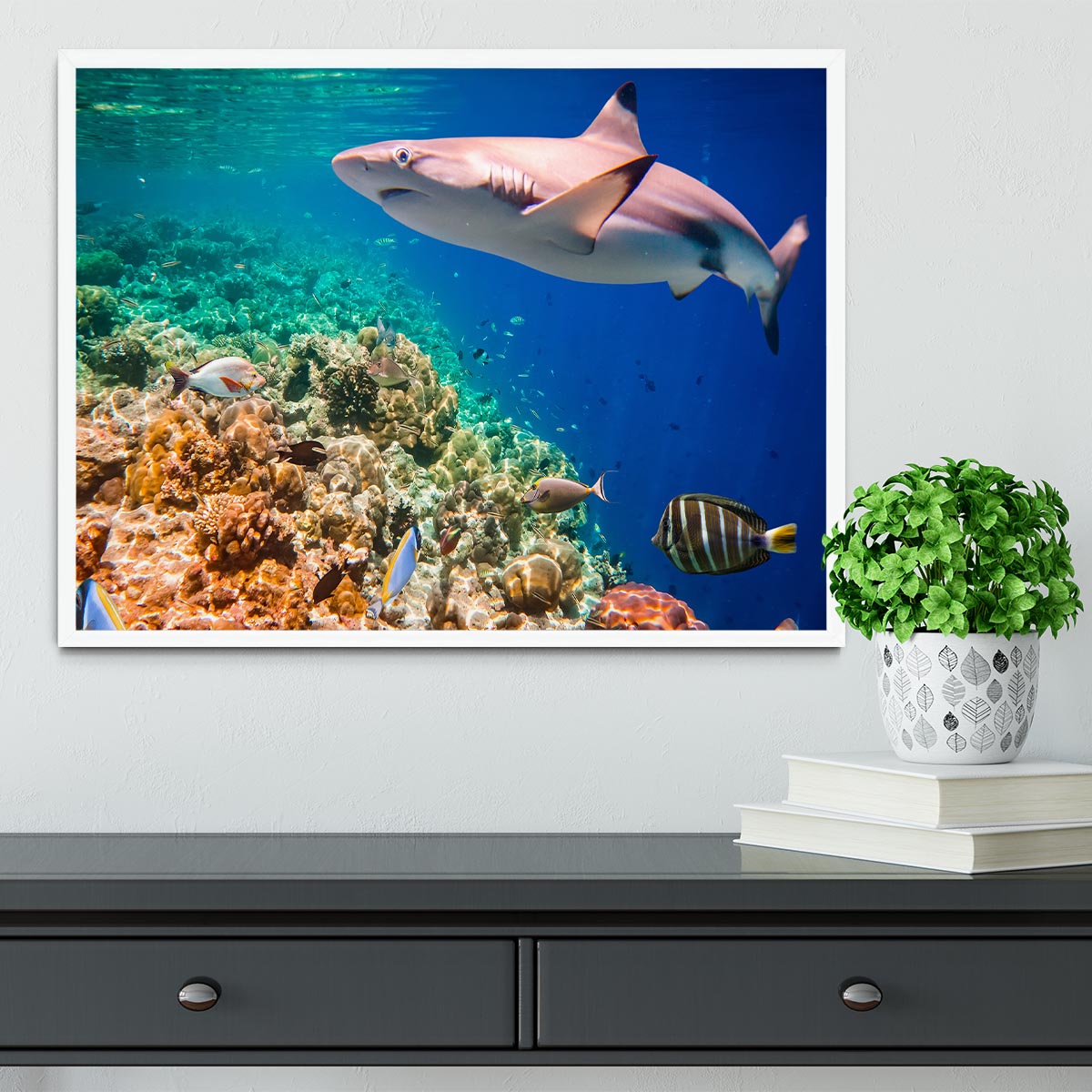 Maldives Indian Ocean coral reef Framed Print - Canvas Art Rocks -6