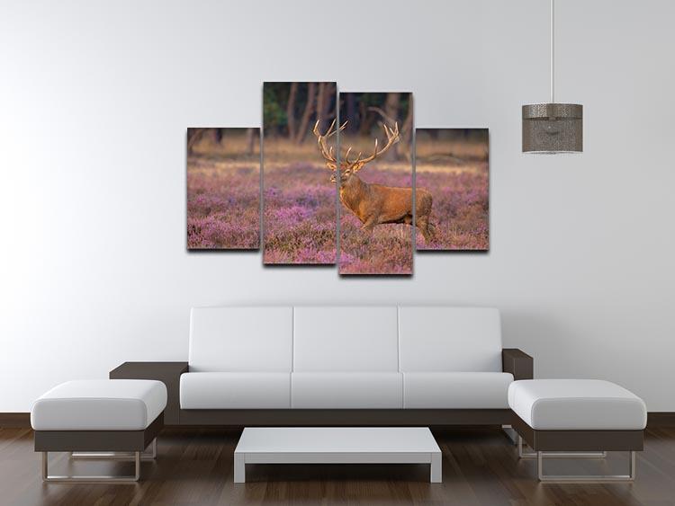 Male red deer Cervus elaphus with antlers during mating season 4 Split Panel Canvas - Canvas Art Rocks - 3