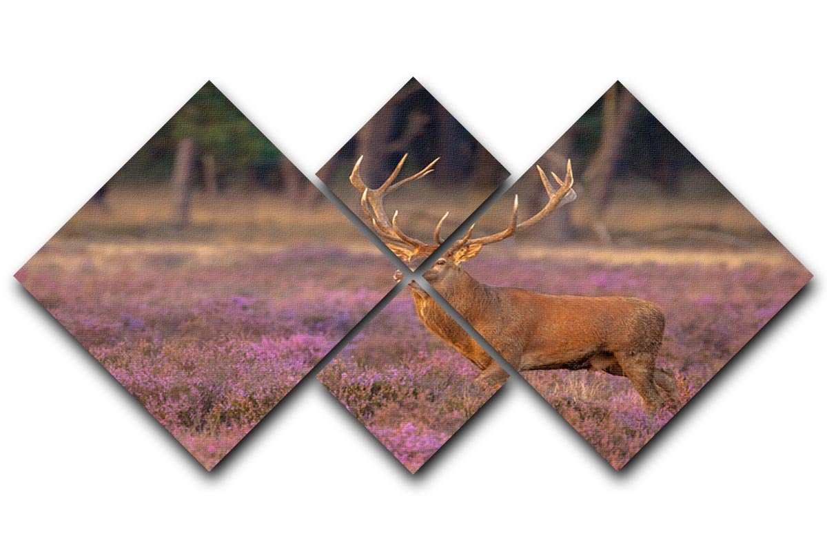 Male red deer Cervus elaphus with antlers during mating season 4 Square Multi Panel Canvas - Canvas Art Rocks - 1