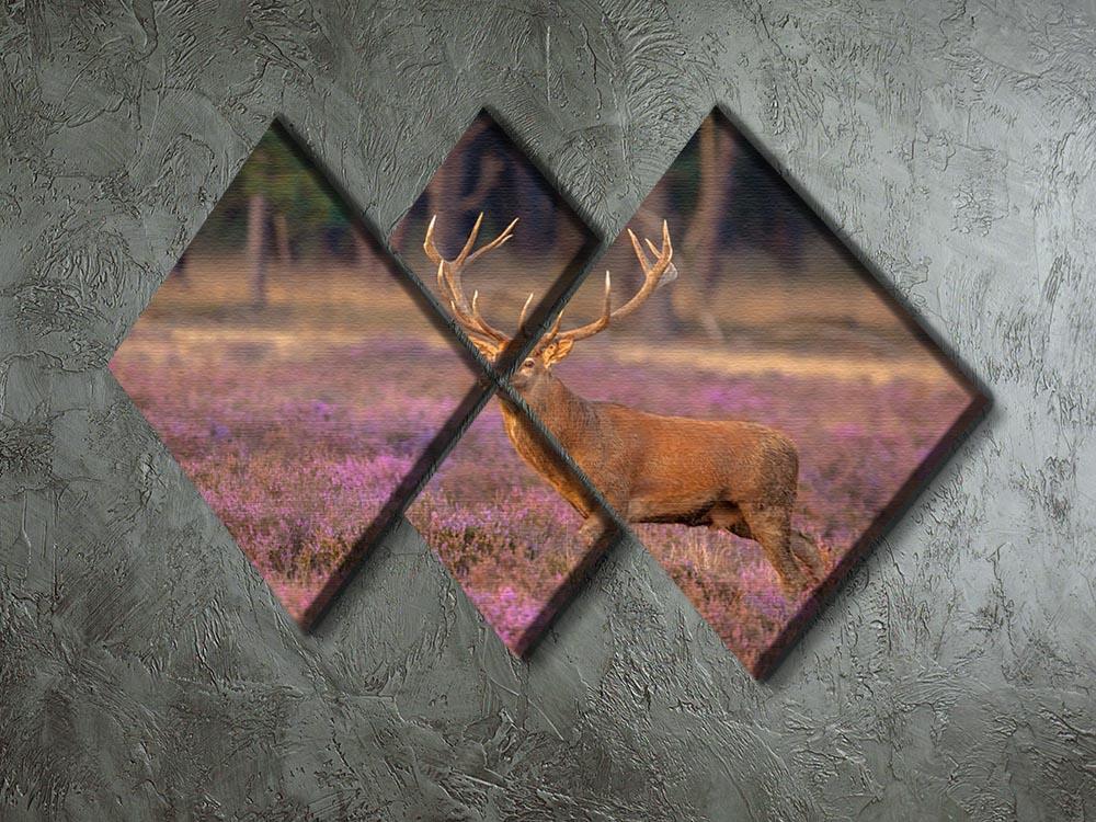 Male red deer Cervus elaphus with antlers during mating season 4 Square Multi Panel Canvas - Canvas Art Rocks - 2