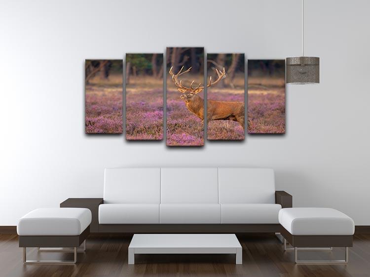 Male red deer Cervus elaphus with antlers during mating season 5 Split Panel Canvas - Canvas Art Rocks - 3