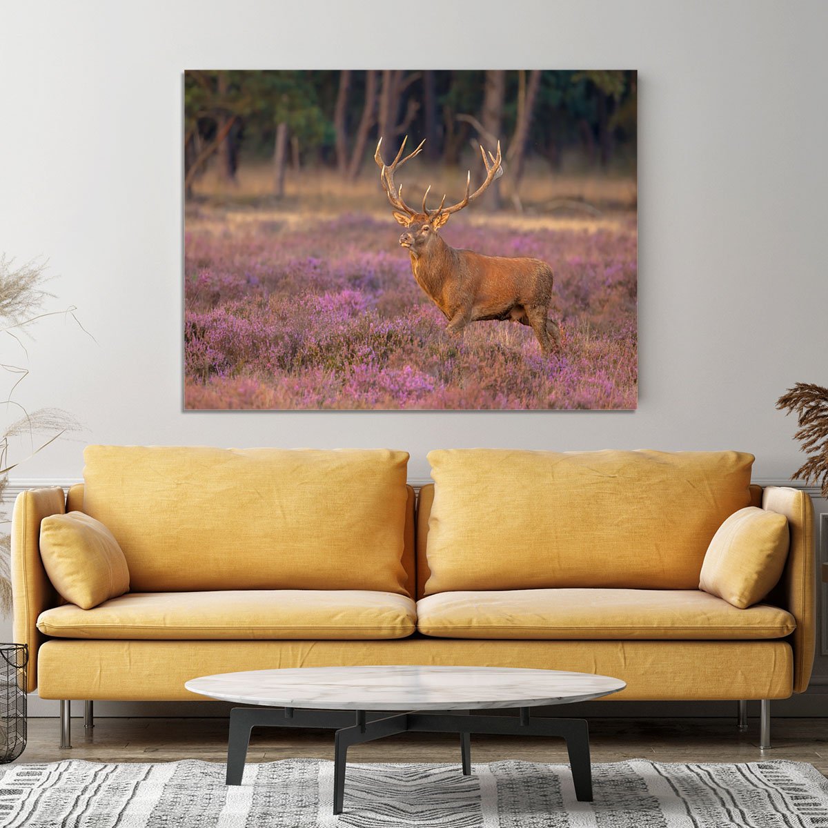 Male red deer Cervus elaphus with antlers during mating season Canvas Print or Poster