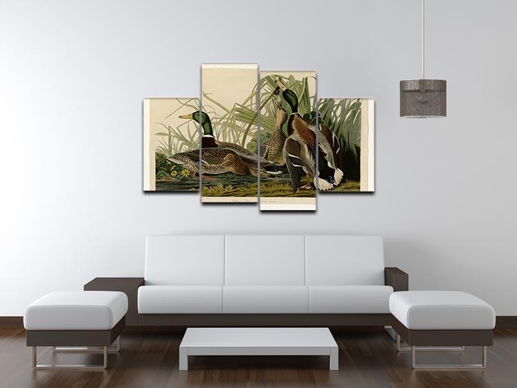 Mallard Duck by Audubon 4 Split Panel Canvas - Canvas Art Rocks - 3