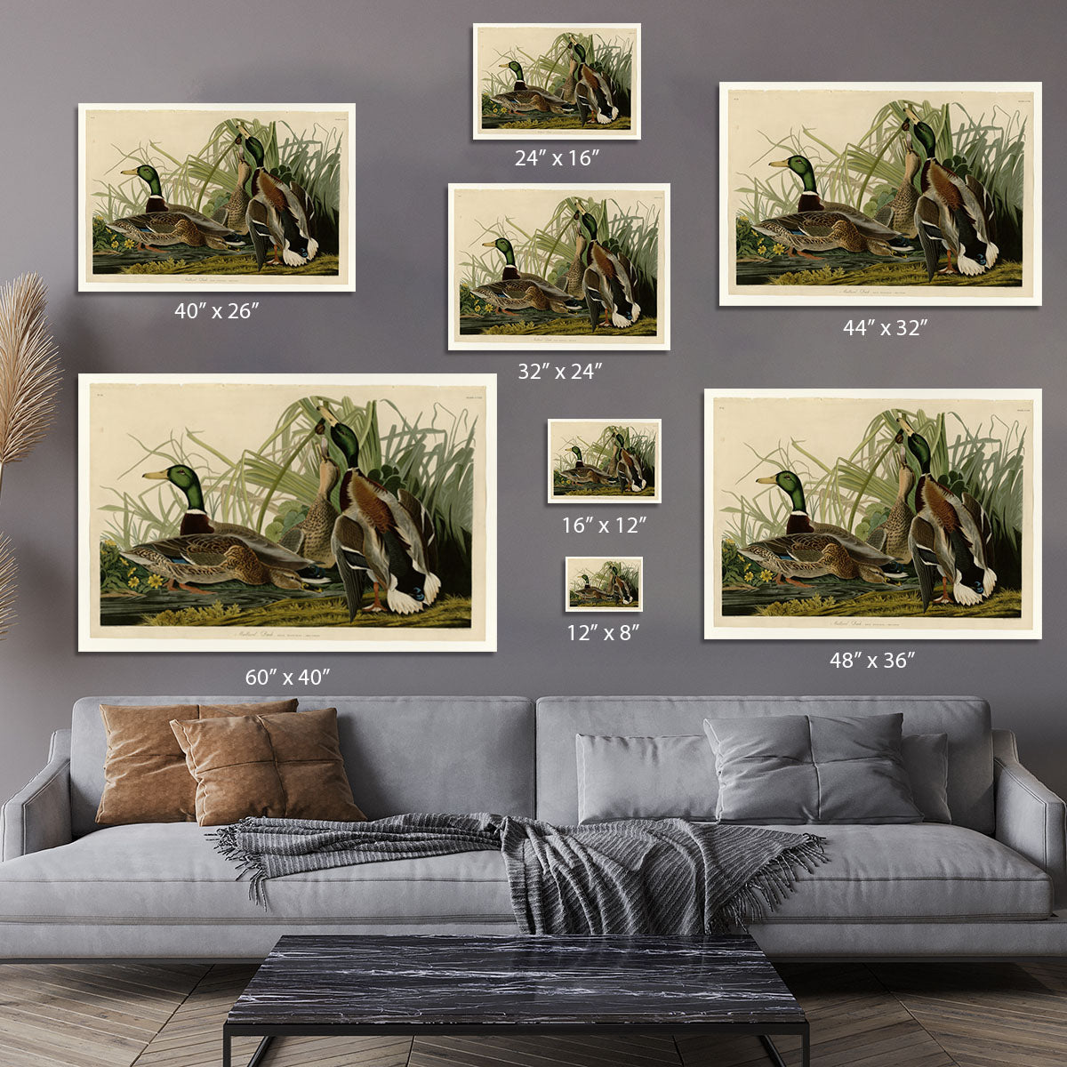 Mallard Duck by Audubon Canvas Print or Poster - Canvas Art Rocks - 7