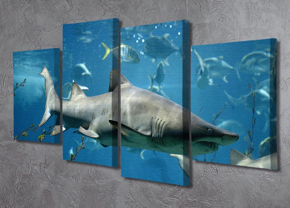 Marine fish underwater 4 Split Panel Canvas  - Canvas Art Rocks - 2