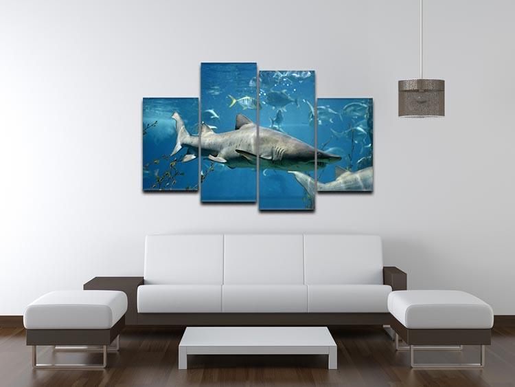 Marine fish underwater 4 Split Panel Canvas  - Canvas Art Rocks - 3