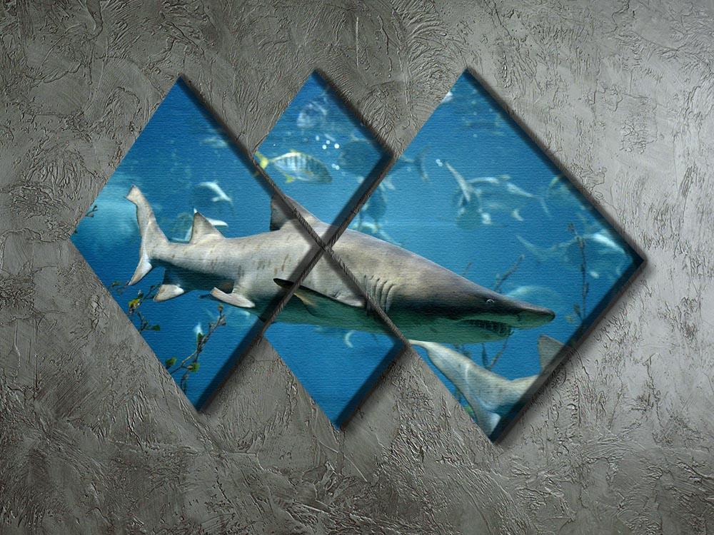 Marine fish underwater 4 Square Multi Panel Canvas  - Canvas Art Rocks - 2